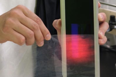 Tăng tốc độ phát triển của thực vật với màng chuyển đổi tia cực tím thành ánh sáng đỏ