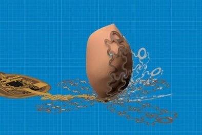 Chế tạo thành công máy tạo nhịp tim sử dụng kỹ thuật quang di truyền