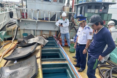 Thu giữ khoảng 65.000 lít dầu DO không rõ nguồn gốc tại Bà Rịa- Vũng Tàu