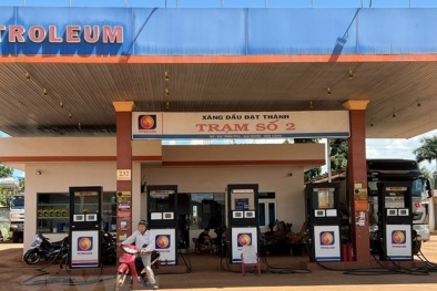 Thu hồi giấy phép kinh doanh xăng dầu của 4 cửa hàng thuộc Công ty xăng dầu Đạt Thành