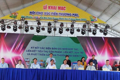 Đẩy mạnh xúc tiến thương mại các sản phẩm đặc trưng, OCOP 