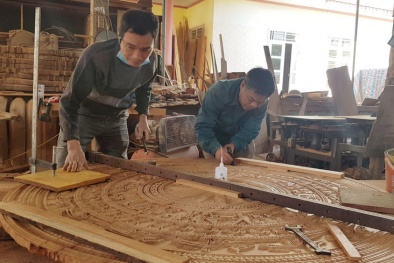 Đảm bảo tính hợp pháp của gỗ nhập khẩu từ Châu Phi vào Việt Nam