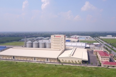 Công ty Nasaco Hà Nam bị phạt 36 triệu đồng do sản xuất thức ăn chăn nuôi không đạt chuẩn