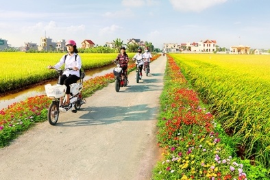 Tập trung hỗ trợ các địa phương hoàn thành mục tiêu xây dựng nông thôn mới giai đoạn 2021-2025