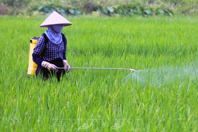 Sử dụng thuốc bảo vệ thực vật có trách nhiệm, an toàn và hiệu quả, hướng đến hệ thống thực phẩm bền vững 