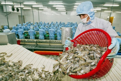 Xuất khẩu tôm sang Mỹ và EU giảm mạnh