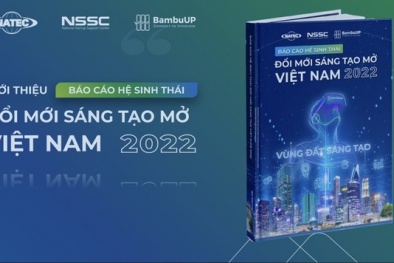 Bức tranh toàn cảnh về đổi mới sáng tạo tại Việt Nam