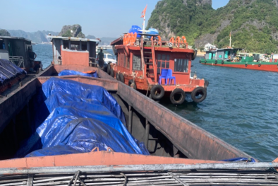 Quảng Ninh bắt 2 tàu vỏ thép vận chuyển 60 tấn than không rõ nguồn gốc