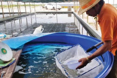 Chuyển đổi xanh - cơ hội và thách thức với doanh nghiệp