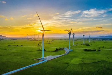 ISO công bố hướng dẫn mới về phát thải ròng bằng không 