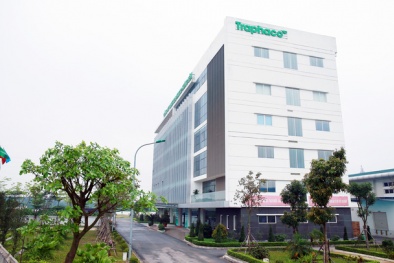 Traphaco bị phạt vì không nộp hồ sơ đánh giá định kỳ tiêu chuẩn GDP