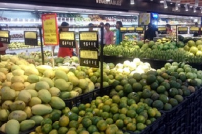 Kim ngạch 11 tháng tăng 13,4%, xuất khẩu tiếp tục là điểm sáng của nền kinh tế