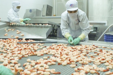 Doanh nghiệp hưởng lợi ích xứng đáng khi áp dụng ISO 22000