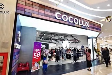 Cocolux: Xây dựng văn hóa doanh nghiệp là chìa khóa quyết định cho sự thành công
