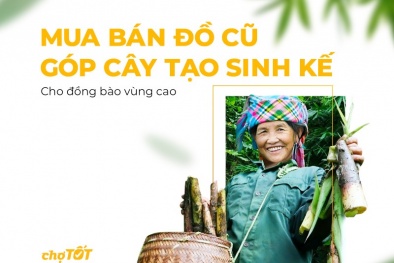Góp cây tạo sinh kế bền vững cho đồng bào vùng cao