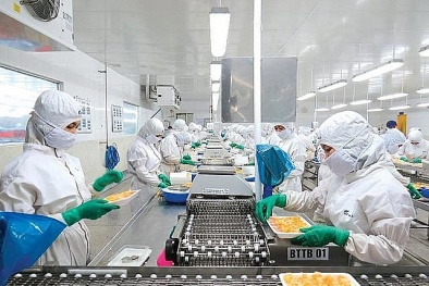 Nắm bắt và thực hiện đúng quy tắc xuất xứ khi xuất khẩu sang thị trường EU