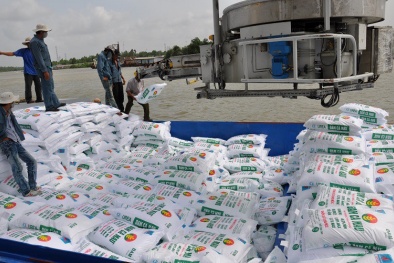 Năm 2022, xuất khẩu phân bón cán mốc hơn 1 tỷ USD