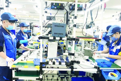 Cần Thơ: Phấn đấu đến năm 2030 hiện đại hóa hệ thống hạ tầng thị trường khoa học công nghệ