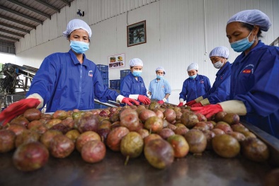 Tập trung vào chất lượng sản phẩm giúp doanh nghiệp tự tin chinh phục thị trường tiềm năng