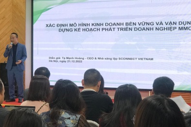 Kinh tế Internet: Xây dựng và phát triển doanh nghiệp MMO kinh doanh bền vững