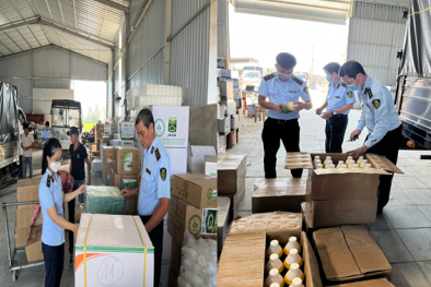 Phát hiện hàng loạt sai phạm tại cơ sở kinh doanh thuốc bảo vệ thực vật ở Đồng Tháp