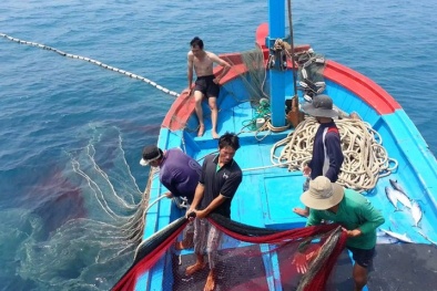 Gỡ thẻ vàng thủy sản: Thủ tướng yêu cầu chấm dứt tình trạng tàu cá khai thác bất hợp pháp 