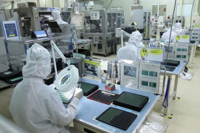 Hiệp định CPTPP mở rộng đường cho hàng Việt sang các thị trường tiềm năng