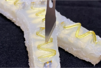 Phát triển robot có thể tự phục hồi trong một phút sau khi phát hiện hư hỏng