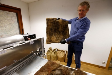 Tái chế tóc thành sản phẩm thu gom chất gây ô nhiễm