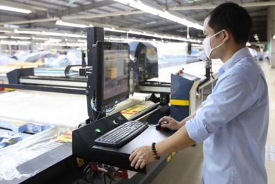 Ninh Thuận: Hỗ trợ doanh nghiệp chuyển đổi số trong sản xuất, kinh doanh 