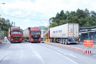 Gần 1.000 xe hàng làm thủ tục thông quan qua các cửa khẩu Lạng Sơn mỗi ngày