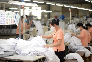 Chất lượng hàng dệt may Việt Nam được cải thiện nhưng cần cạnh tranh về giá 