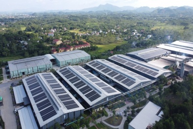 Sử dụng năng lượng mặt trời, đáp ứng xanh hóa trong ngành dệt may  