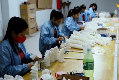 Nâng cao năng suất chất lượng: Bài học từ các doanh nghiệp điểm