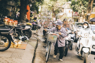 Không khí Tết Nguyên đán rộn ràng khắp phố phường Hà Nội