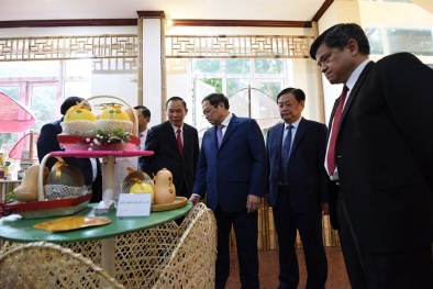 Thủ tướng: Ngành nông nghiệp đẩy mạnh ứng dụng khoa học công nghệ, phấn đấu xuất khẩu đạt 55 tỷ USD năm 2023