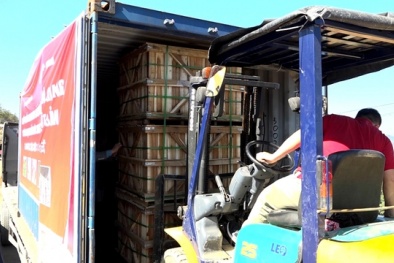 Thêm một sản phẩm chinh phục thị trường Nhật Bản