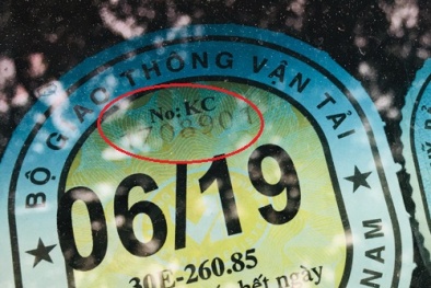 Từ ngày 1/2/2023 dữ liệu đăng kiểm ô tô, xe máy có thể tự tra cứu công khai trên website