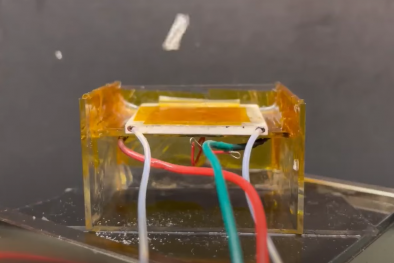 Phát triển vật liệu đàn hồi có thể phóng lên không trung như loài châu chấu