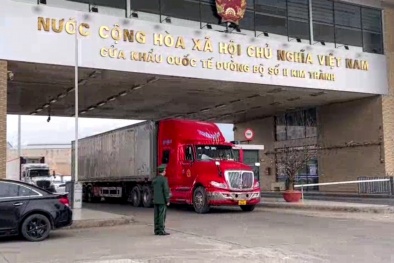 Tấp nập hoạt động xuất, nhập khẩu hàng hóa ngày đầu năm