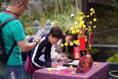 Du khách ngất ngây với ‘vạn sắc hoa xuân’ bung nở trên đỉnh Bà Nà