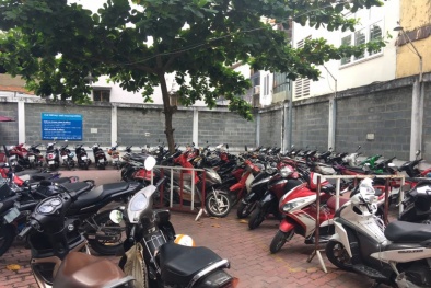 Siết chặt thu phí tham quan, dịch vụ trông giữ xe sau Tết