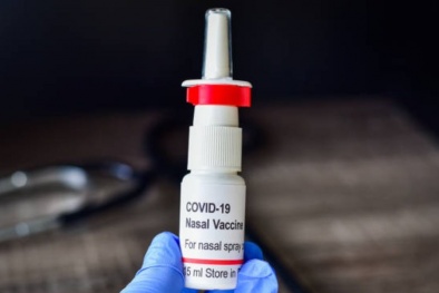 Sản xuất thành công vaccine Covid-19 dạng nhỏ mũi đầu tiên trên thế giới