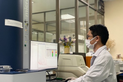 Xây dựng Chiến lược tiêu chuẩn hóa quốc gia nhằm phục vụ tốt hơn cho sự phát triển kinh tế - xã hội 