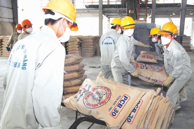 Khuyến cáo doanh nghiệp về việc nắm bắt diễn biến thị trường xi măng