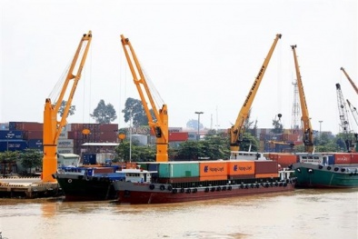 Cảnh báo thận trọng khi thanh toán xuất khẩu sang thị trường Pakistan