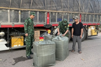 Kiên quyết xử lý nghiêm hành vi vận chuyển nội tạng động vật không rõ nguồn gốc