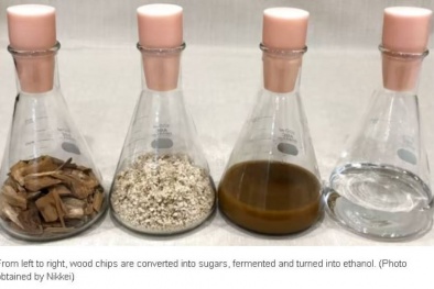 Sản xuất nhiên liệu máy bay từ gỗ