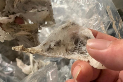 Cẩn trọng với yến sào giả trên mạng xã hội, tránh tiền mất tật mang