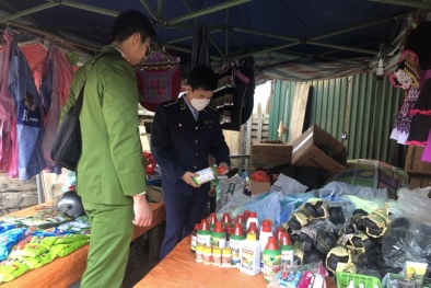 Thu giữ 220 sản phẩm thuốc bảo vệ thực vật do nước ngoài sản xuất